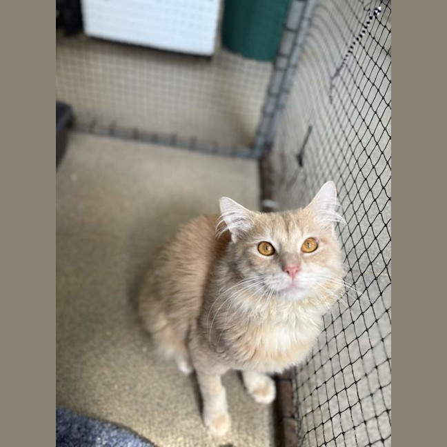 Photo of Buddy