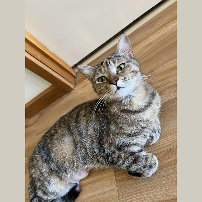 Photo of Bonnie 