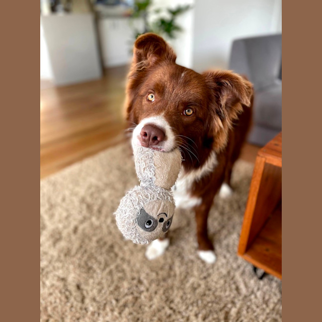 Photo of Mars Bar Slice