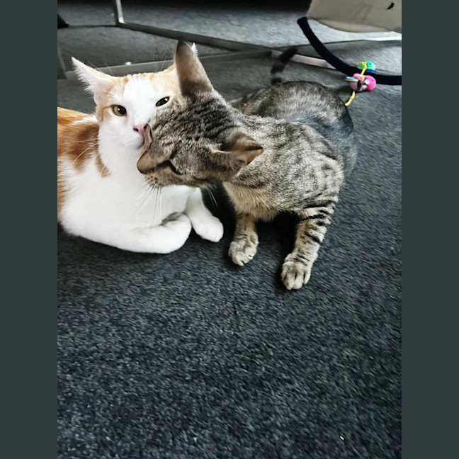 Photo of Atun And Arenita 