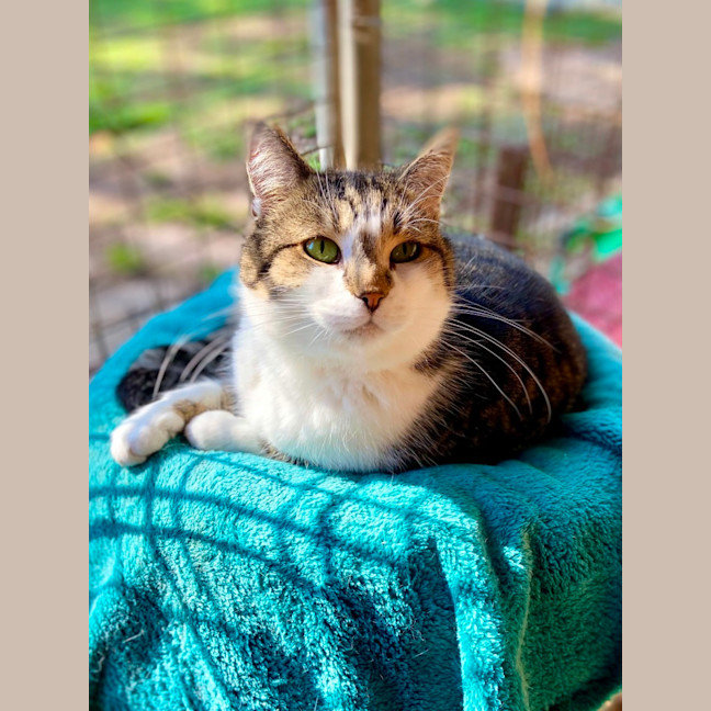 Photo of Farley