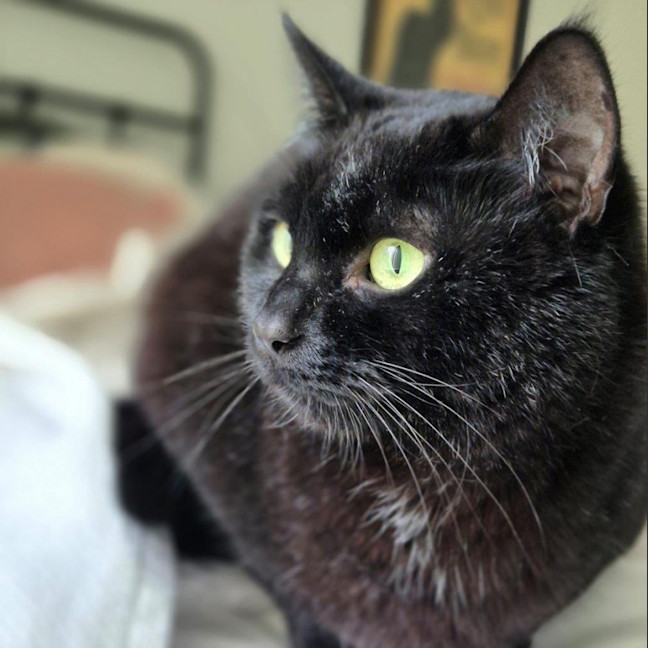 Photo of Mitzy Quinnell