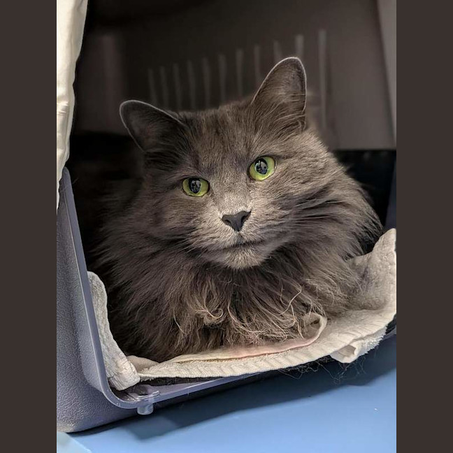 Photo of Kiki