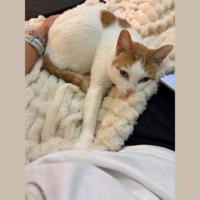 Photo of Bobby