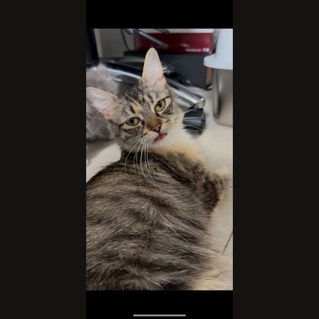 Photo of Sugar