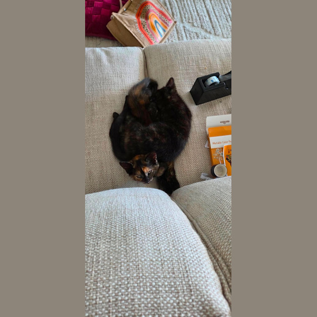 Photo of Croissant & Doughnut