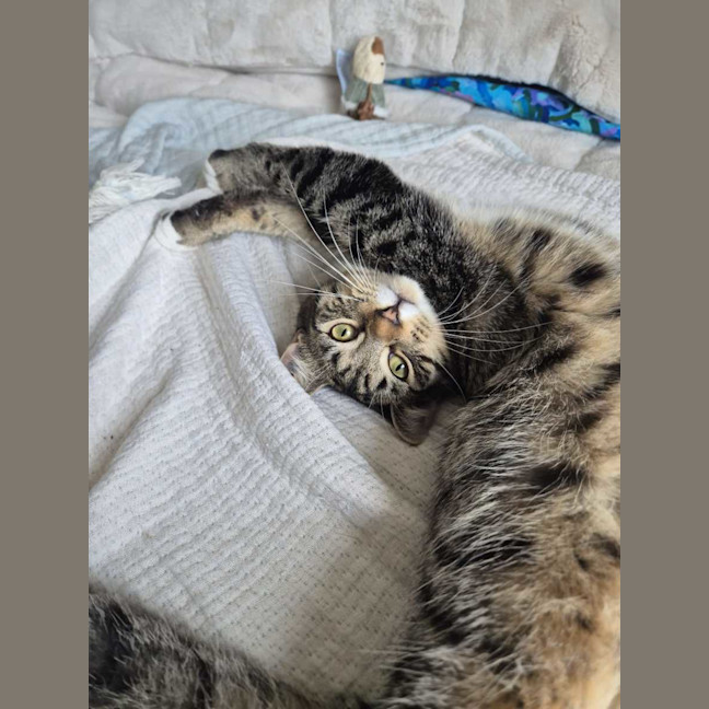 Photo of Bun Bun