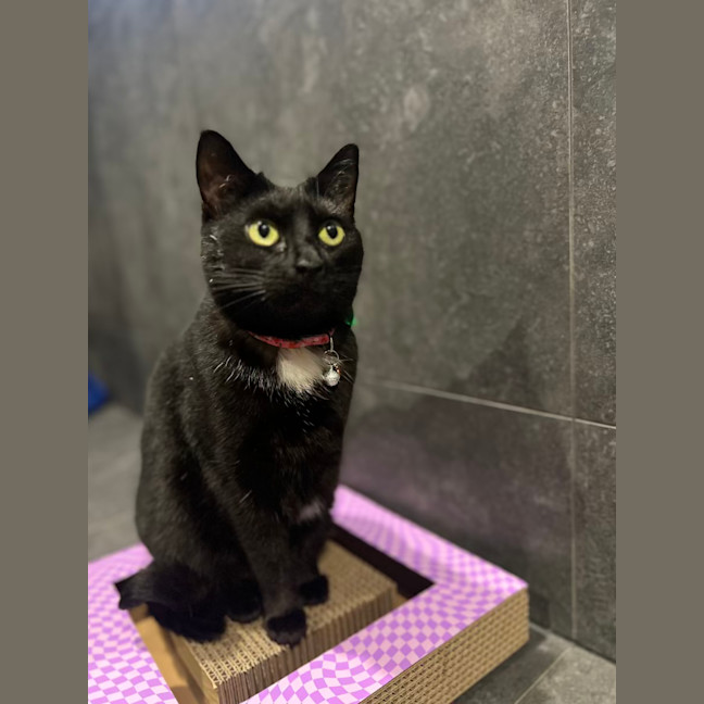 Photo of Holly