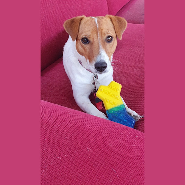 Photo of Max