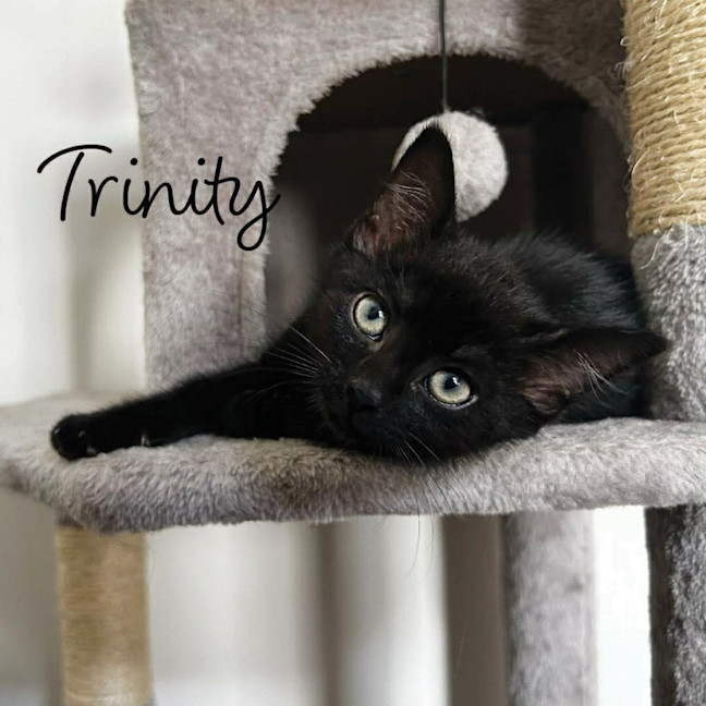 Photo of Neo And Trinity