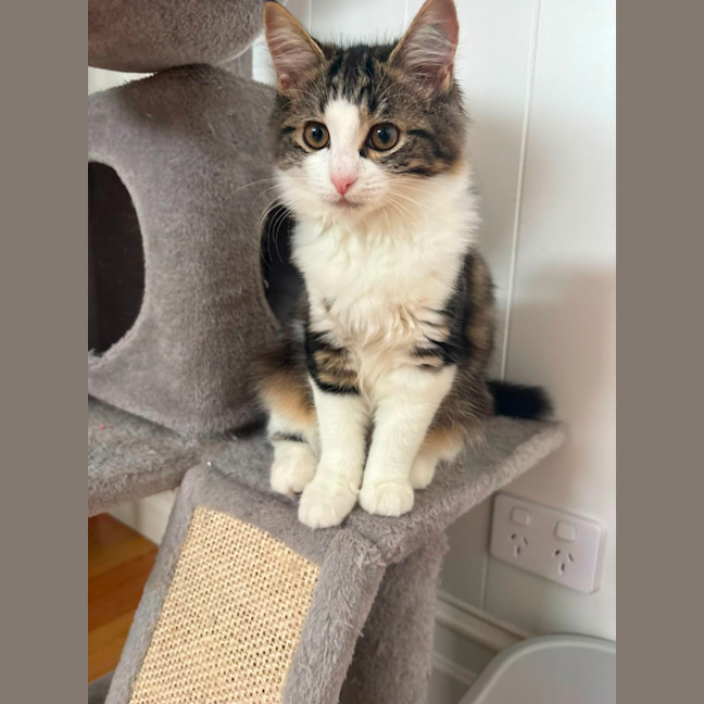 Photo of Maisie