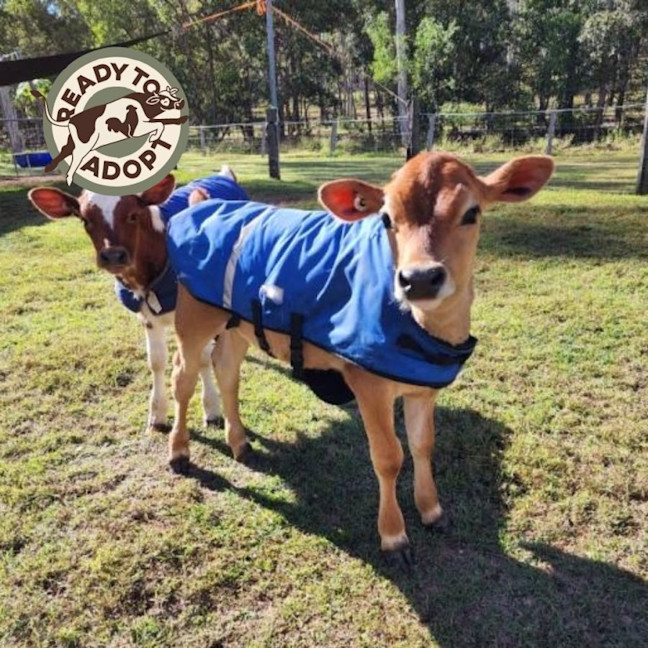 Photo of Moe, Hartley, And Harry