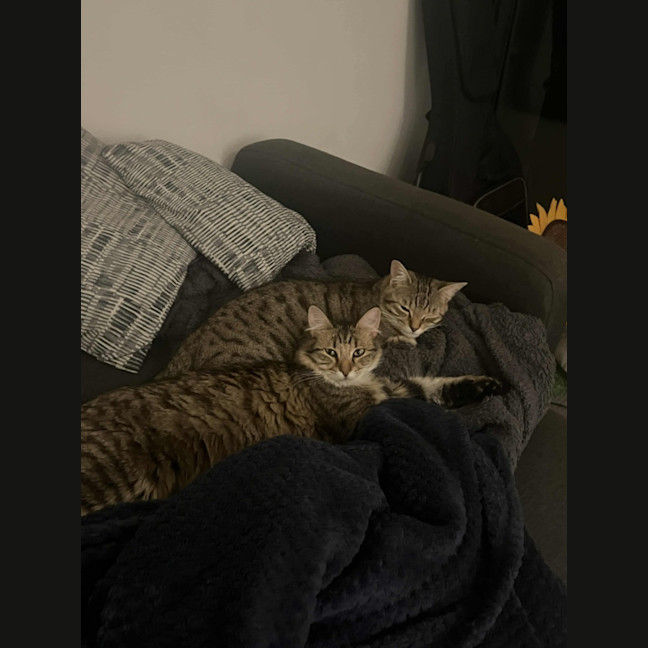 Photo of Fred & Barney