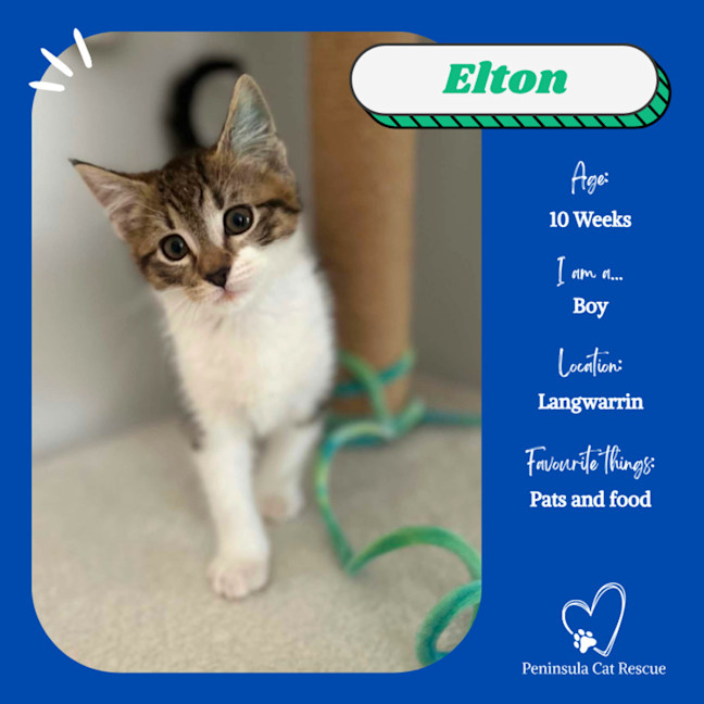 Photo of Elton