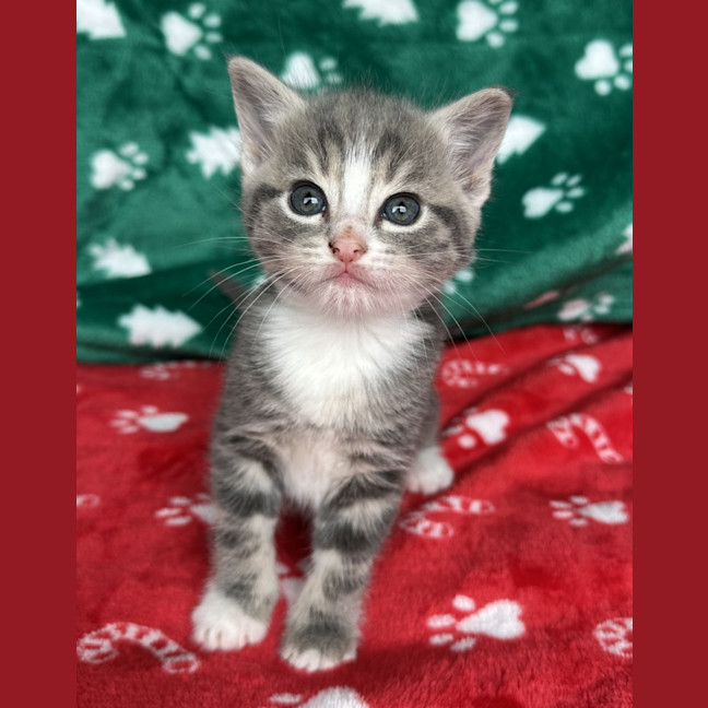 Photo of Wanaka 🌷🌷🌷