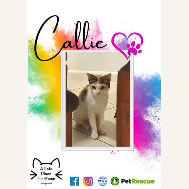 Photo of Callie