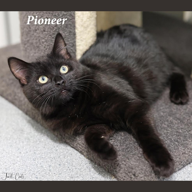 Photo of Pioneer