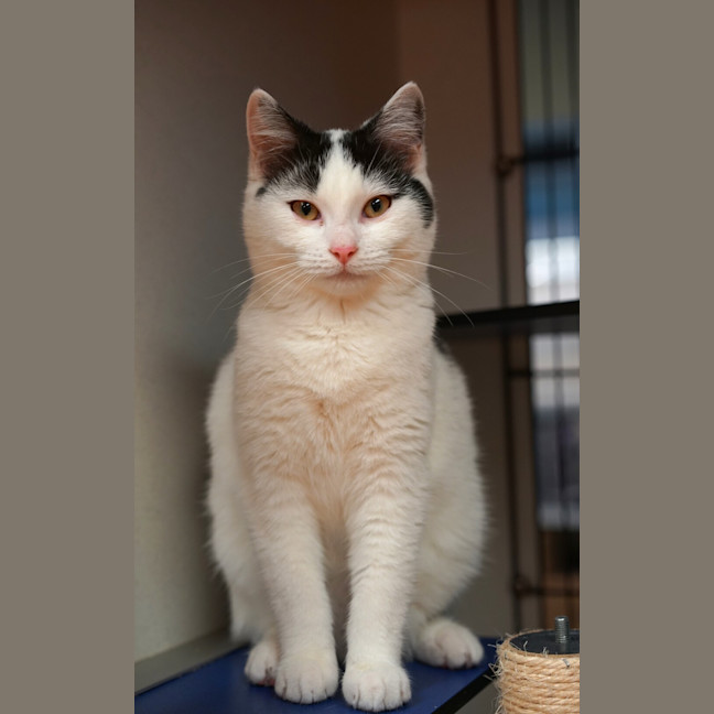 Photo of Stewie