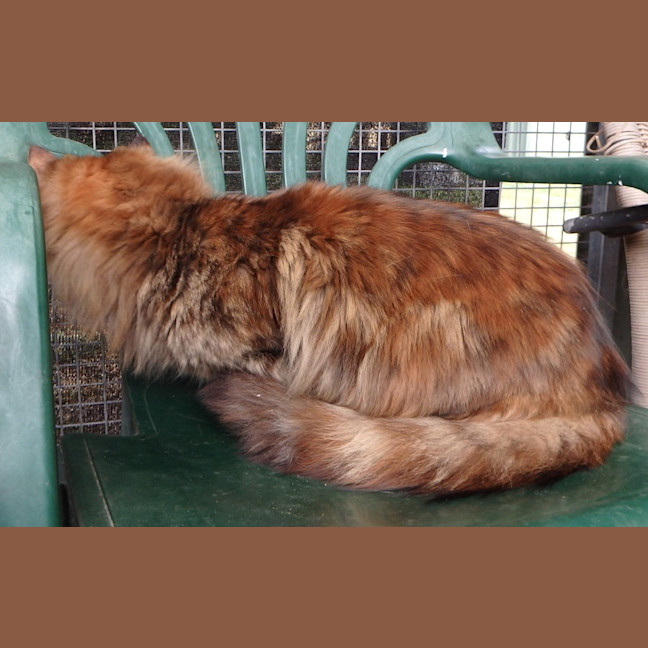 Photo of Fleur And Sky