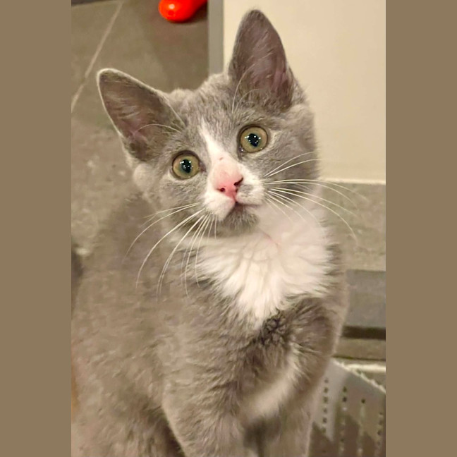 Photo of Luna