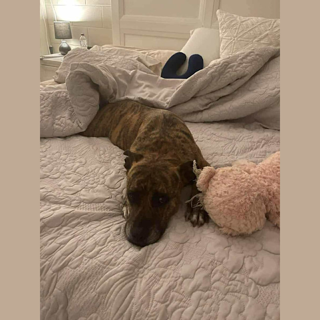 Photo of Coco & Latte