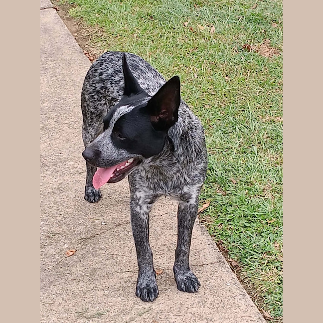 Photo of Bizzy