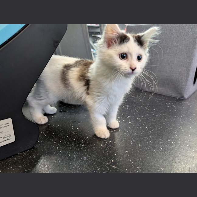 Photo of Frank From National Tiles 