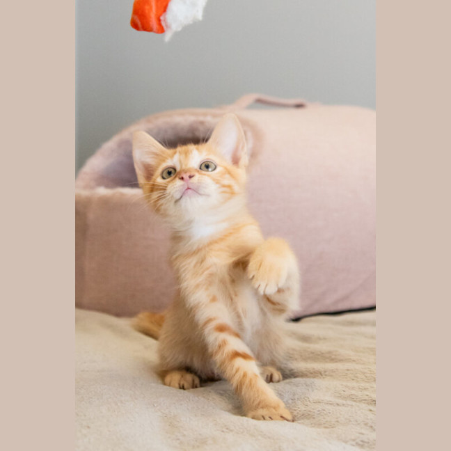Photo of Wednesday