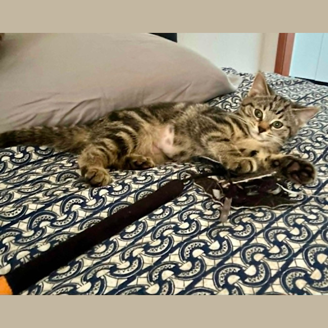 Photo of Artemis