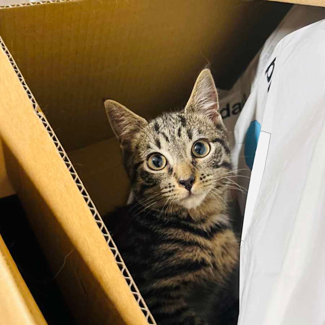 Photo of Beans   Located In Northcote