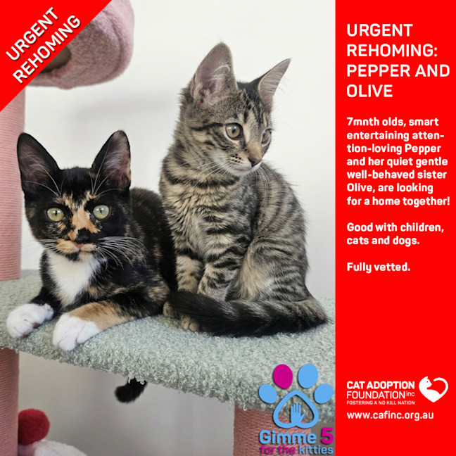 Photo of Pepper And Olive