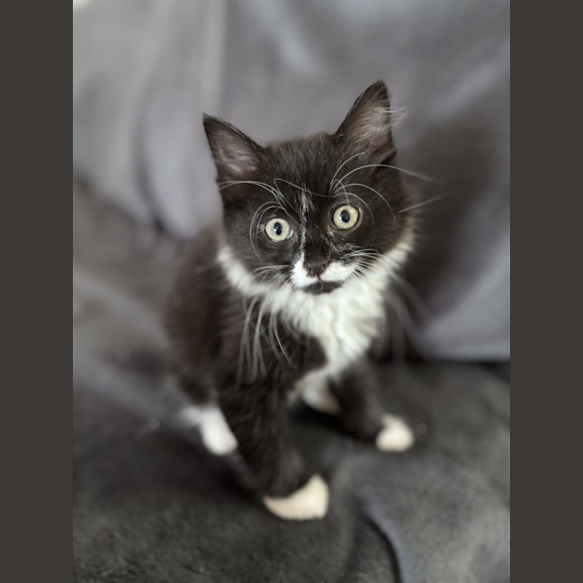 Photo of Harry  Reviewing Applications