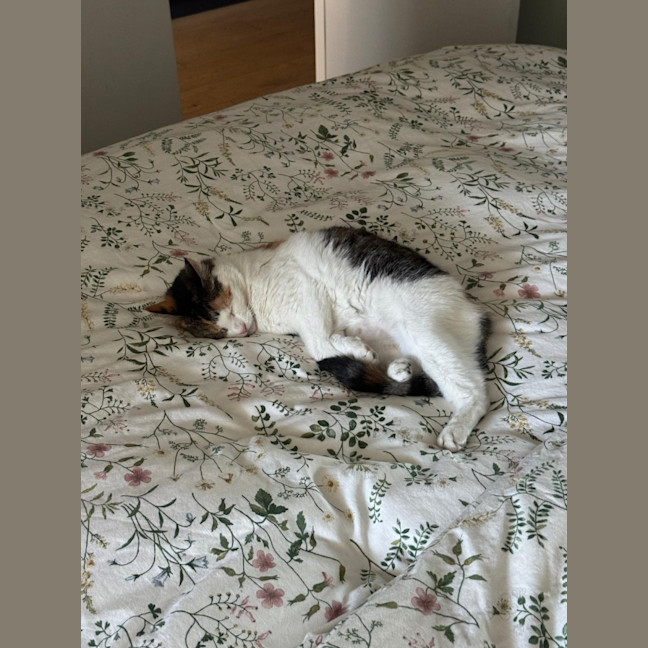Photo of Amy