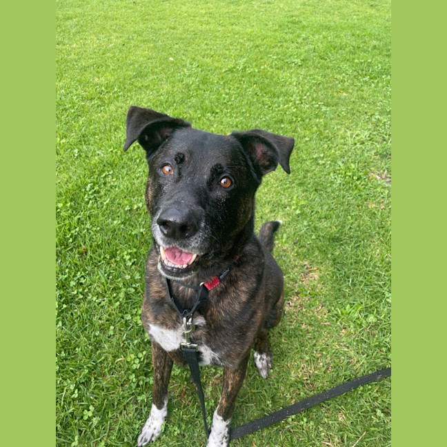 Photo of Rex