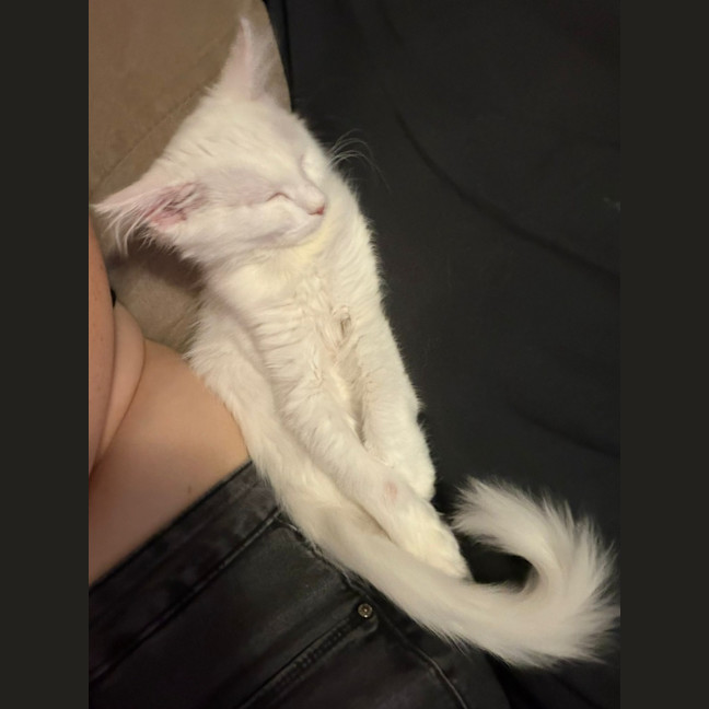Photo of Yuki