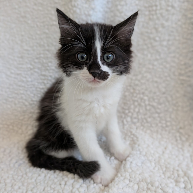 Photo of Jelly Beans