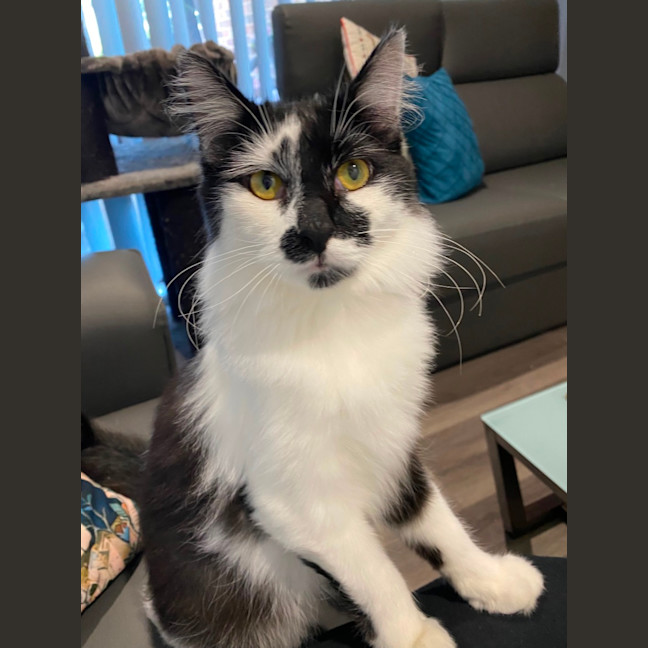 Photo of Handsome Huey