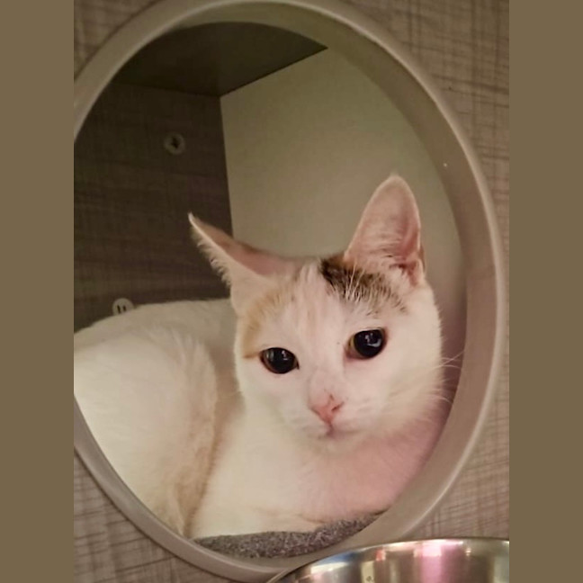 Photo of Isla