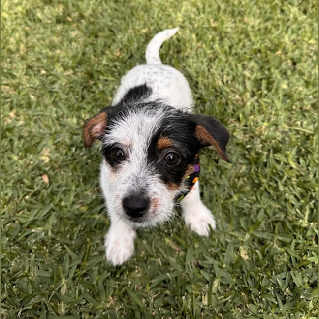 Photo of Bobby