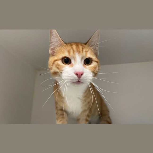 Photo of Butters