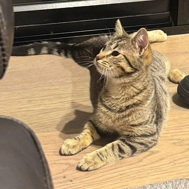 Photo of Arya