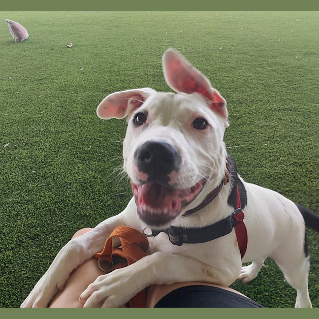 Photo of Molly