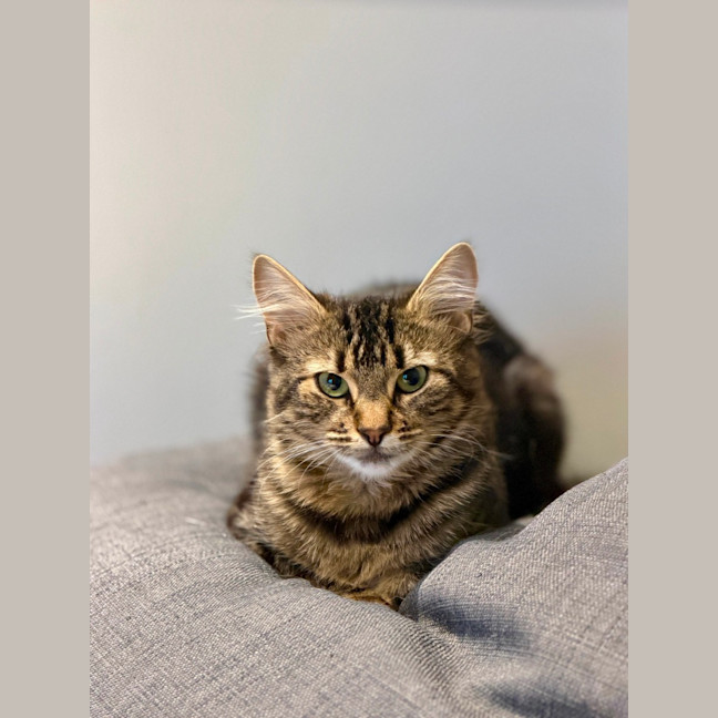 Photo of Cora