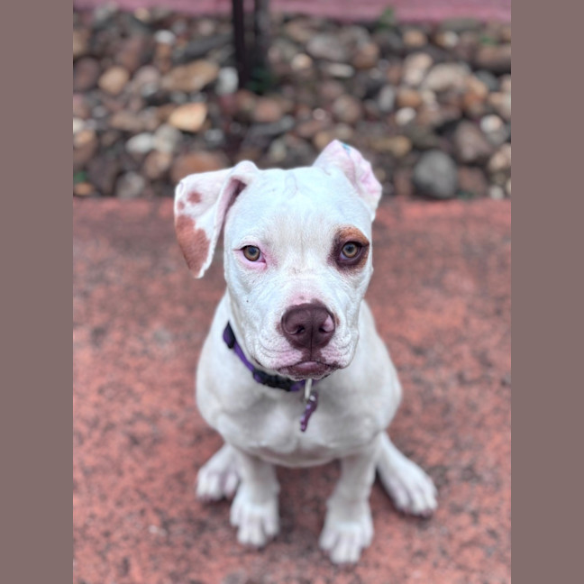 Photo of Clementine