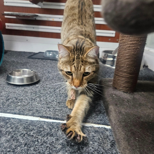 Photo of Marty