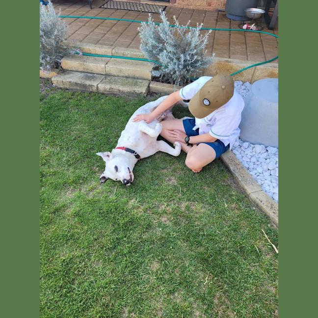 Photo of Bibi