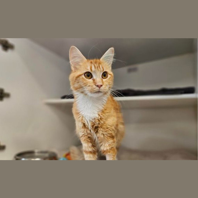 Photo of Mia
