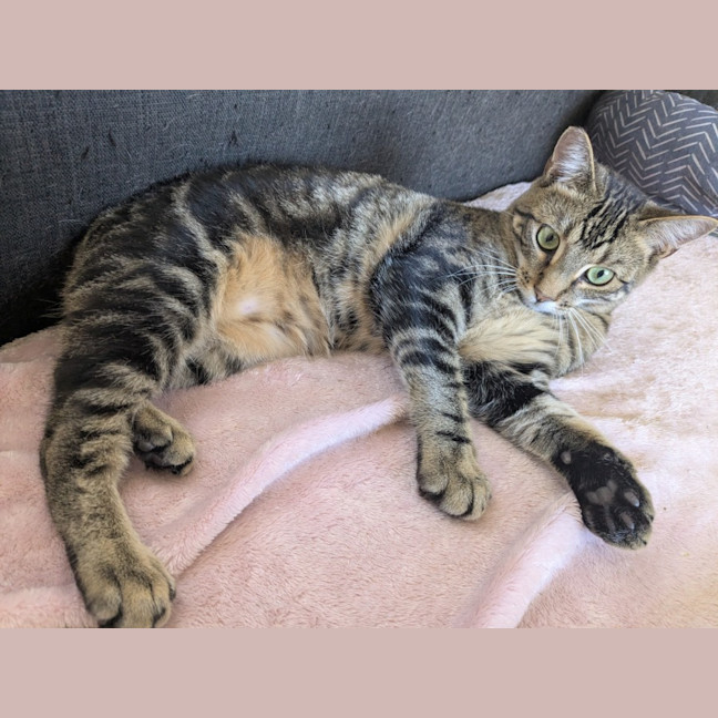 Photo of Spark