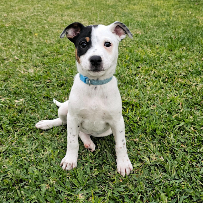 Photo of Ada