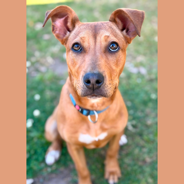 Photo of Gilda